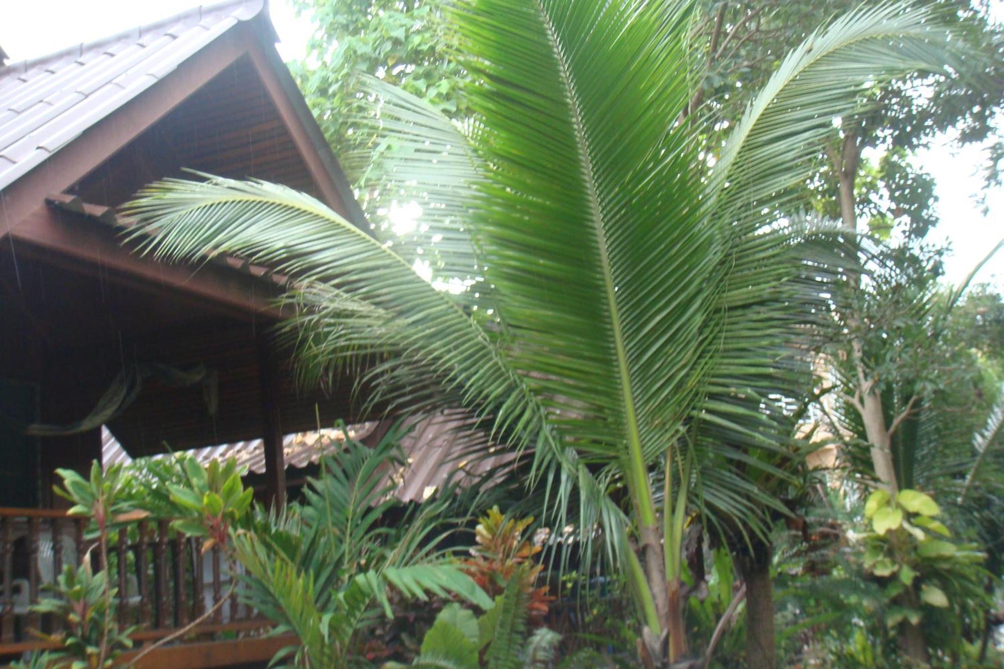 Silver Sands Resort - Koh Tao Exterior photo
